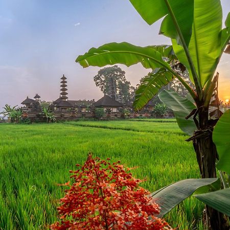 Niki - Serenity And Elegance - Villa In Ubud With Panoramic Temple Views Exterior photo