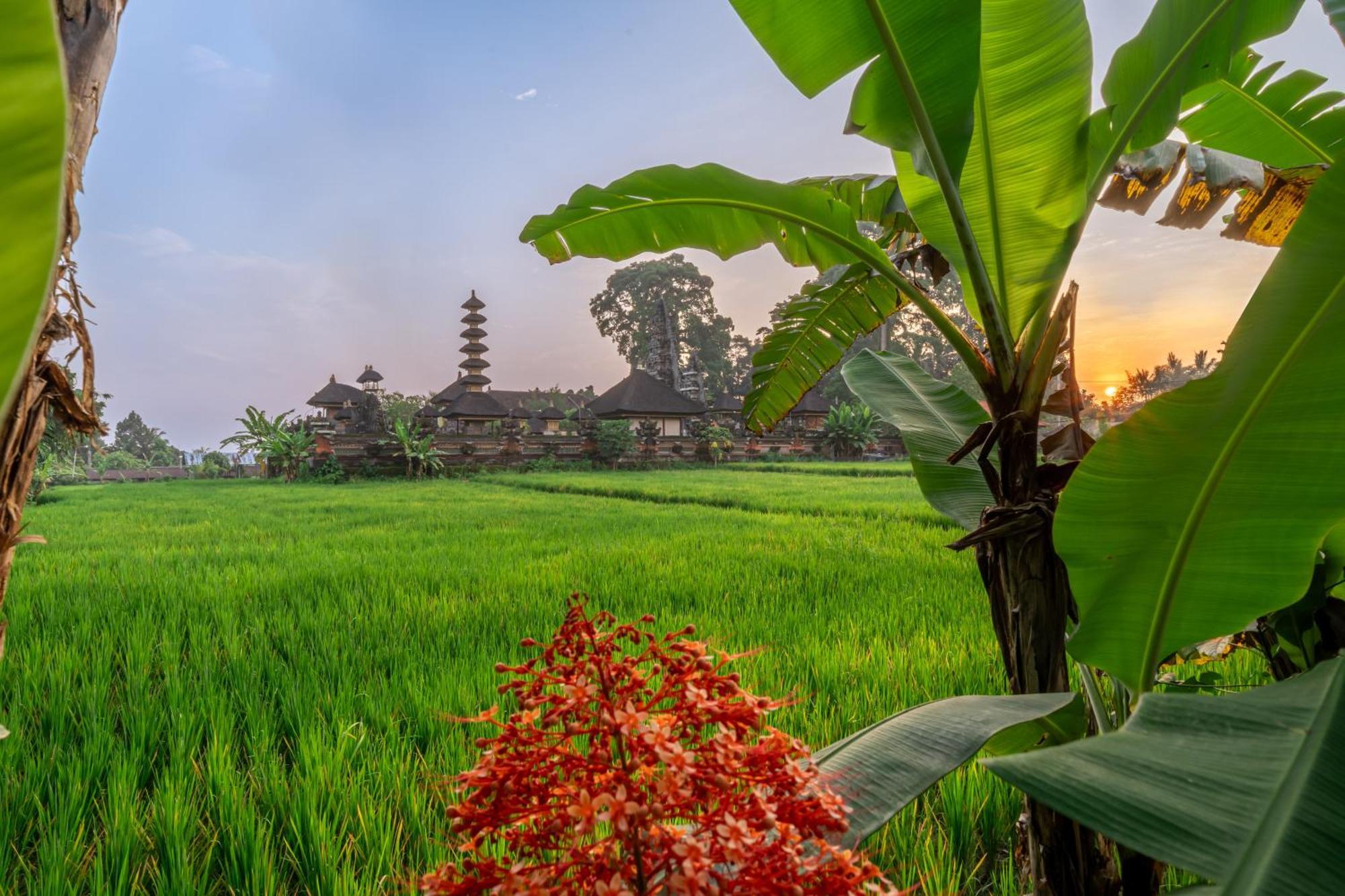 Niki - Serenity And Elegance - Villa In Ubud With Panoramic Temple Views Exterior photo